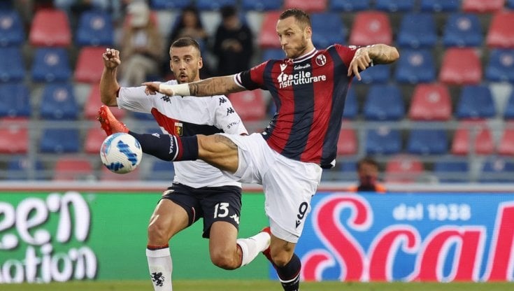 bologna; genoa; bologna vs genoa